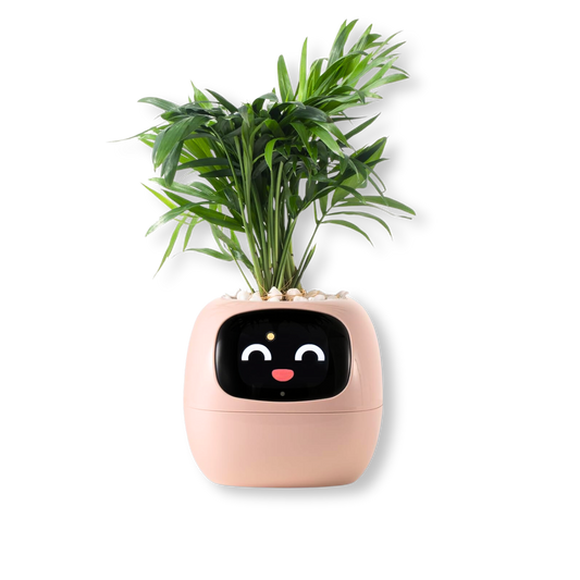 Smart Plant Pot